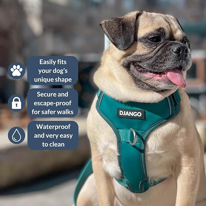 DJANGO Tahoe No Pull Dog Harness – Escape-Proof Dog Harness for Small & Medium with Front & Back Clips for Everyday Use – Adjustable, Padded, Reflective, Secure Fit, Easy On/Off – Dark Teal, Medium