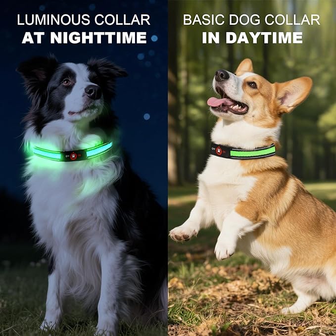 Light Up Dog Collar-Rechargeable & Long-Lasting Power LED Dog Collar Lights for Night Walking, Waterproof & Safety Glowing Collars for Small Dogs [Green-S]