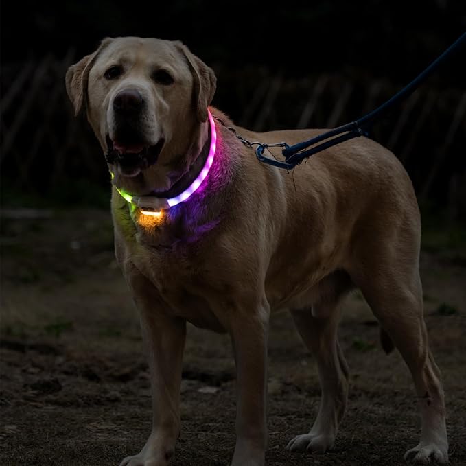 Light Up Dog Collar for Night Walking, USB Rechargeable LED Dog Collar with 6 Glow Modes, Adjustable, Reusable, Durable, Keep Safe in Dark for Small Medium Large Dogs (White, S)