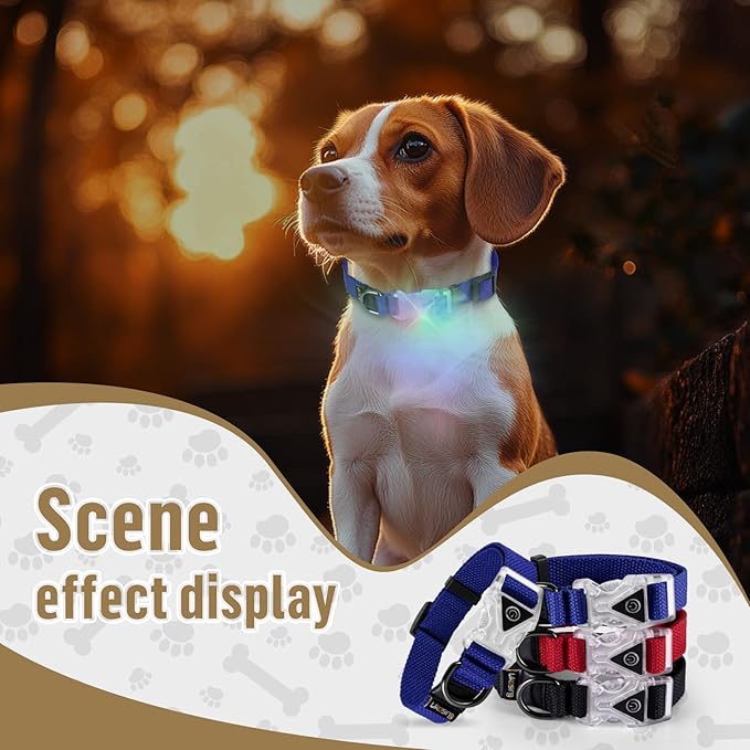 Small Light Up Dog Collar, Cotton Blue Dog Collar Girl Boy, Lighted Dog Collars for Night, IP67 Waterproof Lighted Dog Collars for Small Dogs with Buckle, D-Ring (9.8"-15.7" L, 3/4" W)