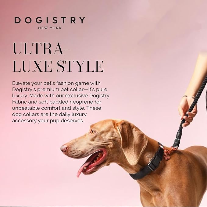 The DOGISTRY - City Collar - Black - Premium Dog Collar with Padded Neoprene & Signature Fabric - Refined Design & Everyday Luxury - Medium
