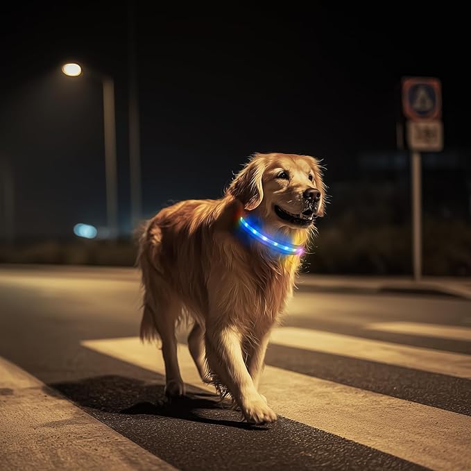 LED Dog Collar, Light Up Dog Collar, USB Rechargeable - Brightest Dog Lights for Night Walking, 6 Light Modes, Adjustable for Dog Safety(Large, Royal Blue)