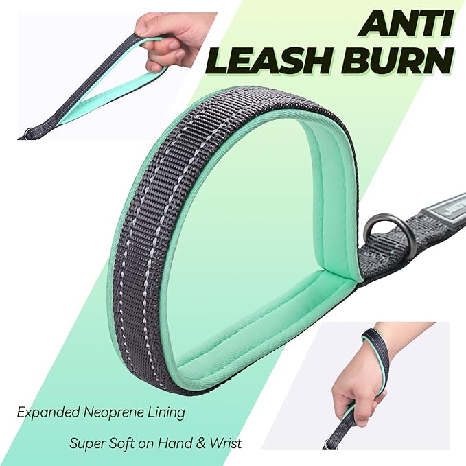 VIVAGLORY Twingrip Dog Leash, Double Handle Dog Leash for Training & Walking with Traffic Handle & 2 Loop, Traffic Control Reflective Heavy Duty for Puppy Pet, 5ft x 1/2in, Grey
