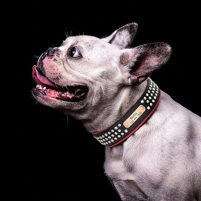Personalized Crystal Leather Dog Collar Custom Rhinestone Dog Collars with Buckle Free Engraved ID Collar for Medium Large Dogs Black XL