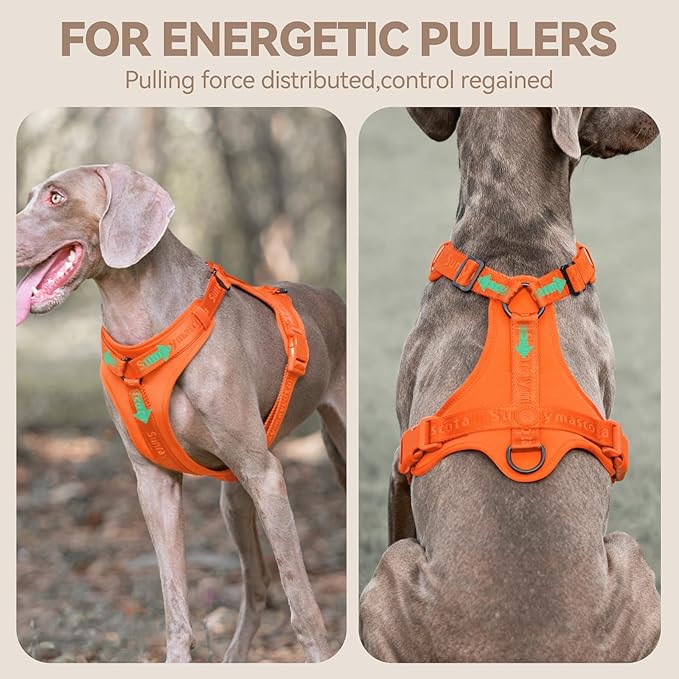 No Pull Dog Harness with Lycra, Three-Point Force Dispersion & 3D Padding, Adjustable Breathable Mesh for Small Medium Large Dogs(Orange,XL)