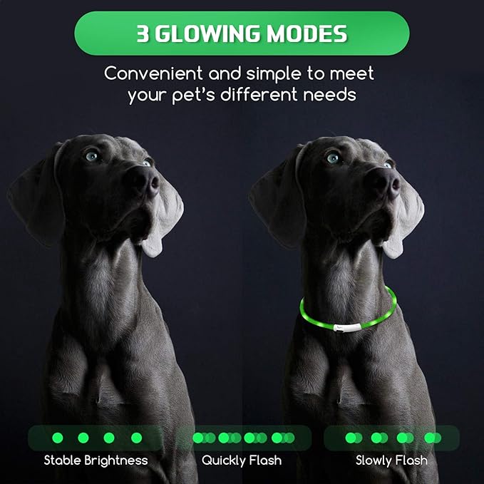 Weewooday 5 Pcs Light Up Dog Collars LED Rechargeable USB Dog Collar for Night Walking Lighted Glow in The Dark Adjustable Silicone Safety Necklaces with 3 Flashing Modes for Small Medium Large Puppy