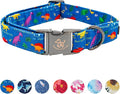 Elegant little tail Dog Collar, Blue Dinosaurs Pattern Pet Collar Durable Cute Dog Collars Male or Female Pet Gift Adjustable Dog Collar for Medium Dogs