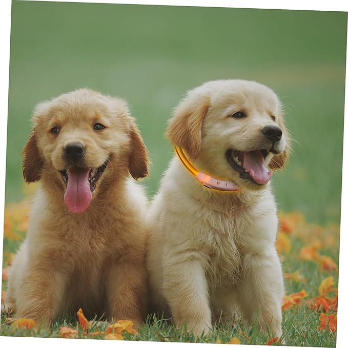 Led Glowing Dog Collar USB Rechargeable Pet Collar for Night Safety Stylish Yellow for Evening Walks and Camping