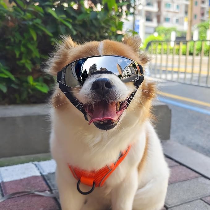 PETLESO Small Dog Goggles, Anti-UV Dog Sunglasses for Outdoor Driving Cycling Riding Hiking, Windproof Dustproof Snowproof Eye Protection, Pet Eye Wear with Adjustable Strap, Silver