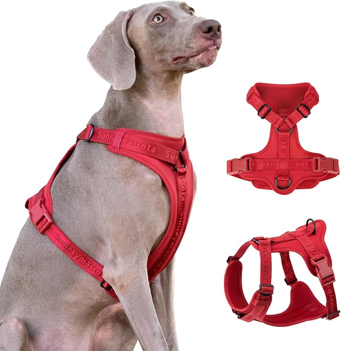 No Pull Dog Harness with Lycra, Three-Point Force Dispersion & 3D Padding, Adjustable Breathable Mesh for Small Medium Large Dogs(Burgundy Red,L)