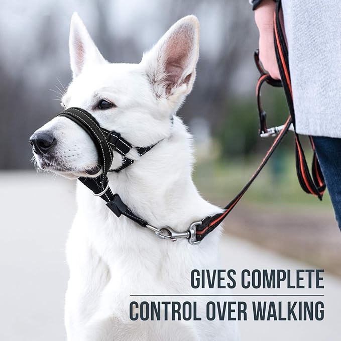 GoodBoy Dog Head Halter with Safety Strap - Stops Heavy Pulling On The Leash - Padded Headcollar for Small Medium and Large Dog Sizes - Head Collar Training Guide Included (Size 3, Black)