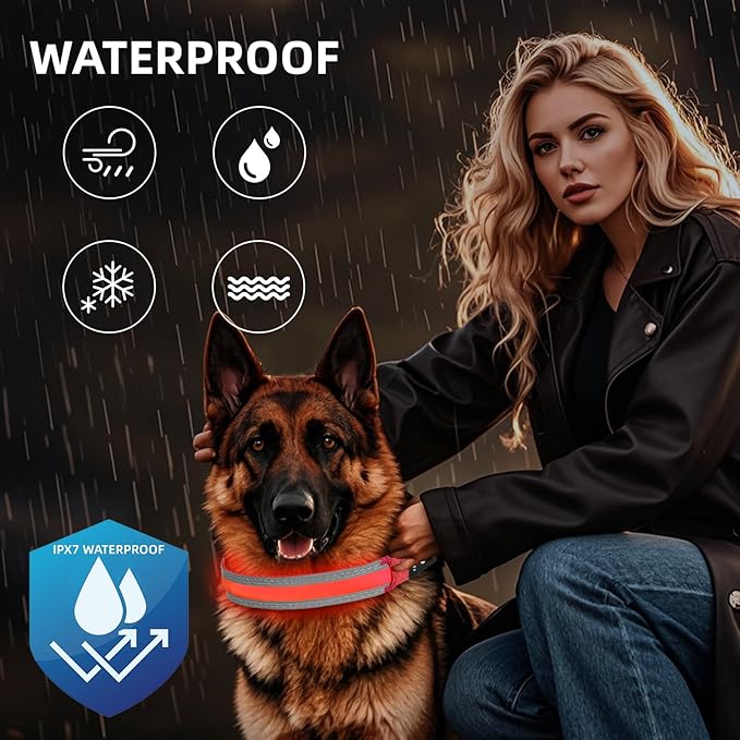 PetIsay LED Dog Collar Metal Buckle - Heavy Duty Light up Collars - Rechargeable IP68 Waterproof - Lighted Dog Collar for Night Walking, Hiking, Camping (Small, Red)