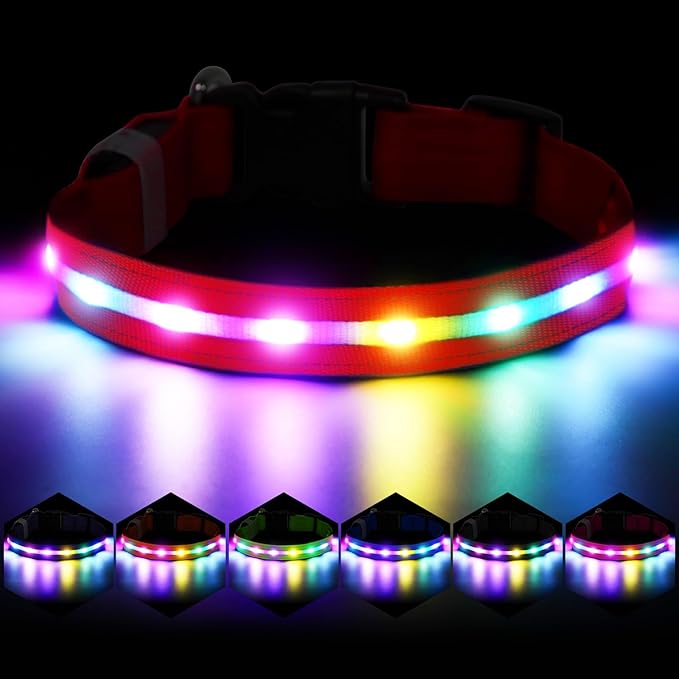 Light Up Dog Collar, USB Rechargeable 6 Modes, Waterproof Charging Port, Long Lasting LED Collar - Adjustable Nylon Reflective for Dogs, Sizes S/M/L (7/9/11 Lights) - 5 Colors (Red, S)