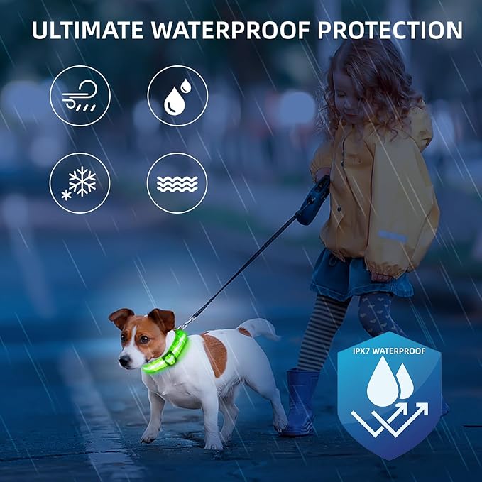 LED Dog Collar for Small Dogs Cats - Fully Waterproof & Adjustable Glow Collar - USB-C Rechargeable for Night Walking, Safety - Flashing Lighted Collar for Dogs(Green,S)