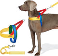 VETRESKA MoMA Dog Harness for Medium Large Dogs, Easy Walk Dog Harness and Leash Set, No Pull Dog Vest Harness for Walking and Training, Adjustable, Take Control & Anti-Twist Pet Lead Combo(Yellow, M)