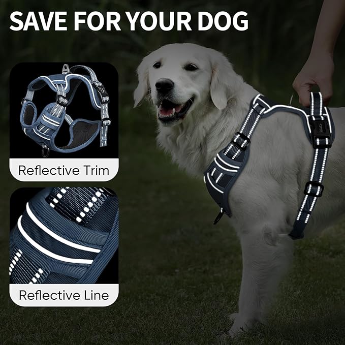 HEELE Dog Harness for Large Dogs No Pull Dog Vest Harness for Large Dog with Soft Padded Handle Reflective for Outdoor Training, Royal Blue, XL