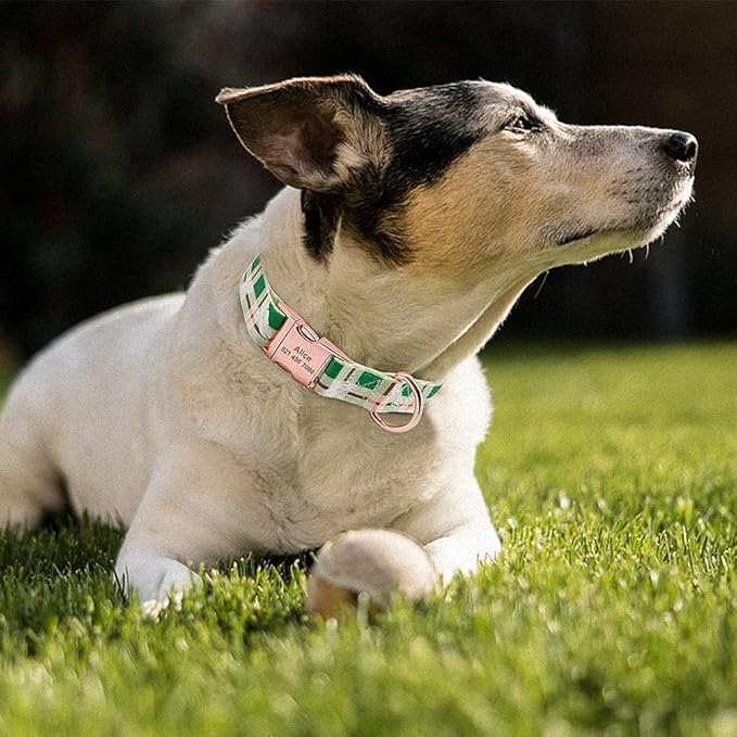 Personalized Dog Collar Custom Puppy Pet Collar Pitbull Collars Pets Acessorios Products Small Dog Collar for Medium Large Pet Green L