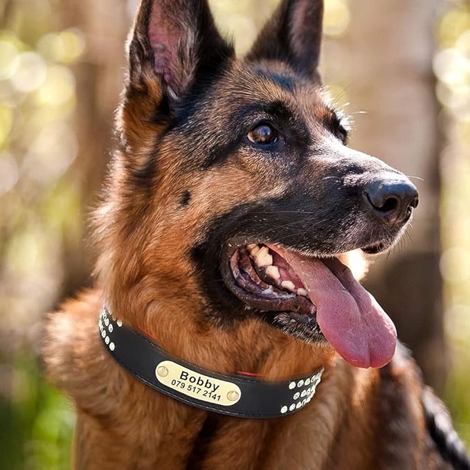 Rhinestone Custom Dog Collars Leather Personalized Crystal Pet Collar Padded Collars Adjustable for Small Medium Large Dogs Black XXL