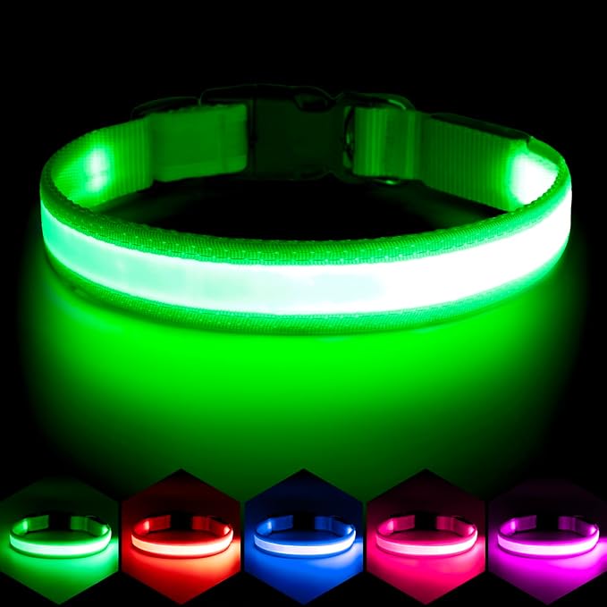 Vizpet LED Dog Collar, Light Up Dog Collar Adjustable USB Rechargeable Super Bright Safety Light Glowing Collars for Dog(Small,Green)