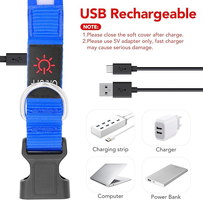 Vizpet LED Dog Collar, Light Up Dog Collar Adjustable USB Rechargeable Super Bright Safety Light Glowing Collars for Dogs(X-Large,Blue)