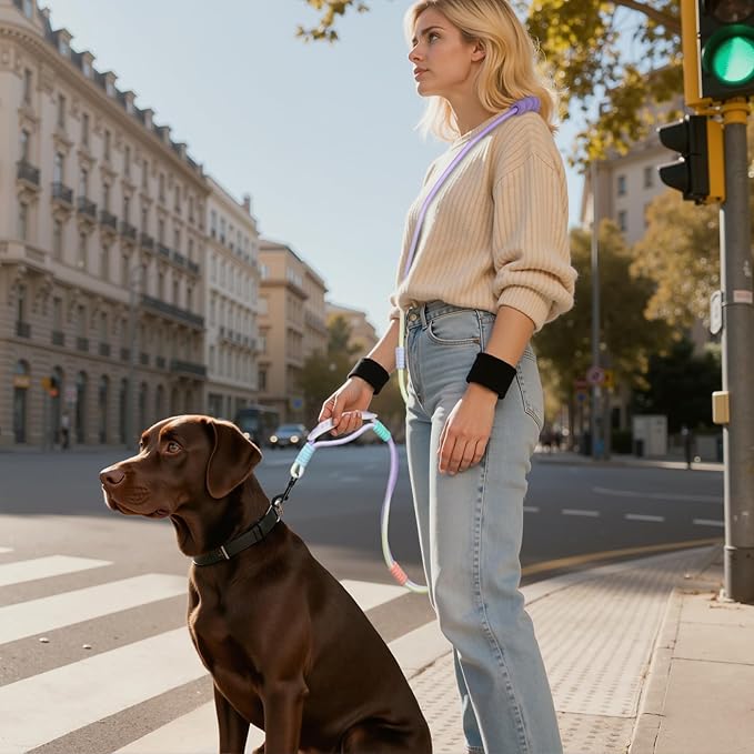 Hands Free Dog Leash Dual Handle, Wearable Leashes for Dog, Padded Waist Belts and Rotating Metal Clip,for Small Medium Large Dogs (18+ lbs) Walking Training Running (Purple Green, 6.5 FT)