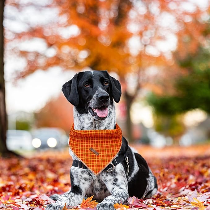 Elegant little tail Fall Dog Bandana, 1PC Girl Boy Dog Bandanas Halloween Bib Scarf Soft Washable Square Dog Scarf Adjustable Dog Kerchief for Small Medium Large Dogs