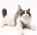 Pet Custom Dog Custom Cat Custom Hoodie, Sporty Look, Funny Gift, Halloween Holiday (Shark with Standing Fin, Large)