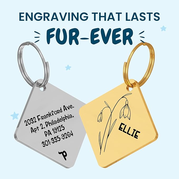 PawFurEver Dog Tags Personalized with Breed Design - Custom Dog Tags for Pets - Dog ID Tags Personalized for Pets - Stainless Steel Dog Collar Tag - Pet Name Tags for Dogs (Diamond, Gold)