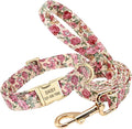 Personalized Floral Dog Collar and Leash Set Custom Small Medium Large Dog Pet ID Collar Lead Flower Print Dog Engraved Collars Beige Set S
