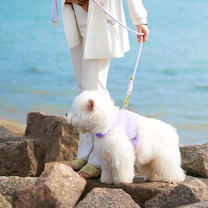 Durable Handwoven Dog Leash for Small & Medium Dogs, 5/16 inch Rope Lead with Anti-Tangle Swivel Clip, Soft & Lightweight, 5FT Long – Ideal for Daily Walking & Training (Light Purple)
