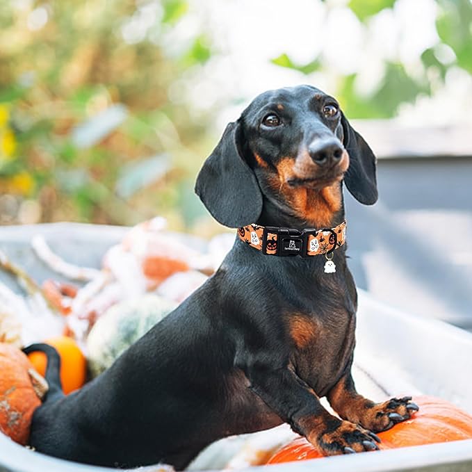 Lionheart glory Halloween Dog Collar-Pumpkin Ghosts Fall Dog Collars with Cute Pendant Soft Adjustable Collar for X-Small Puppy Dogs Girls Boys Collars Party Pet Gift
