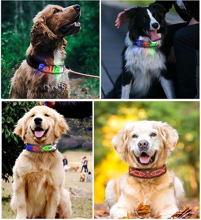Glow Collar for Dogs, Led and Collared, Rechargeable Led Collar for Providing High Visibility During Nighttime Walks (Red)