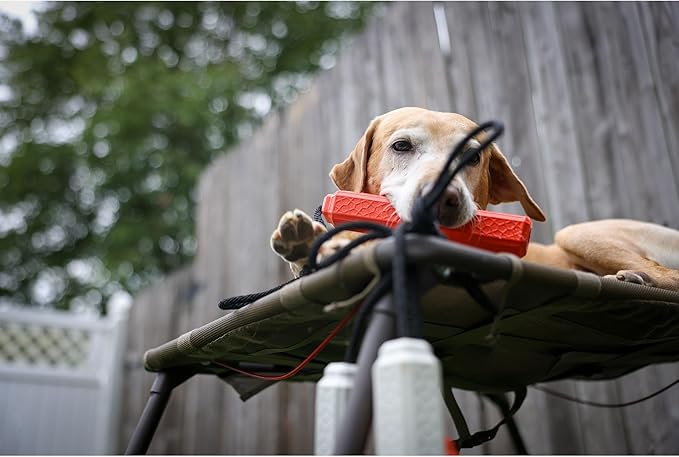 Momarsh Floating Dog Training Bumper | Durable Dummy with Easy Launch Rope | Advanced Waterfowl Hunting Retriever Dog Tool | Enhance Agility and Obedience