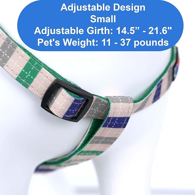Pawtitas Personalized Dog & Puppy Harness Small Grey/Blue/Green Custom ID Tag Adjustable No Pull Vest