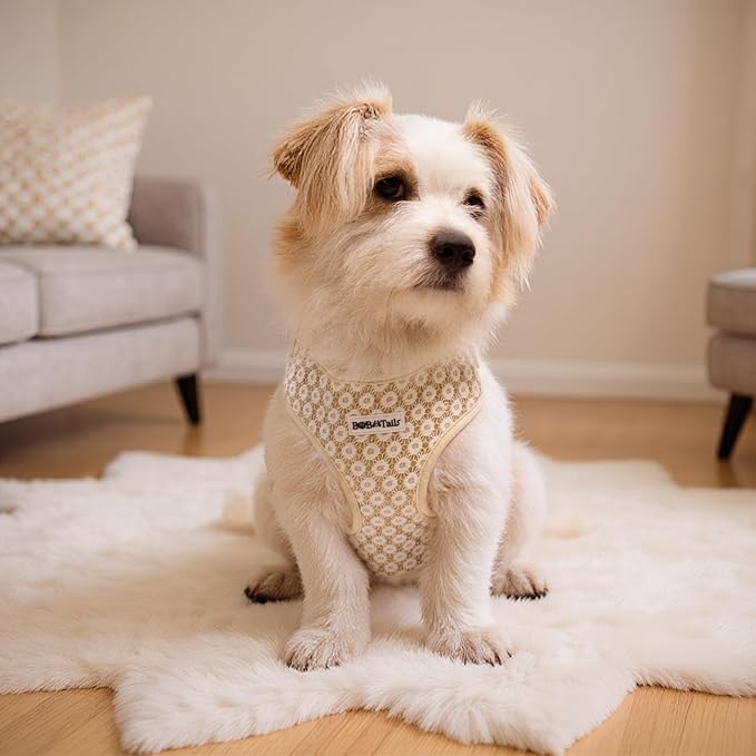 No Pull Dog Vest Harness for Small&Medium Dogs, Side Clip Adjustable Pet Vest, Soft Breathable, Fashion Dog Harnesses for Walking, Running, Shopping (Gold, L)