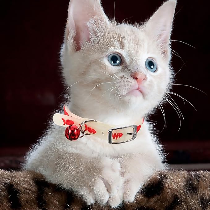 KESYOO Adjustable Luminous Collar for Pets 5 Pieces Random Colours Fluorescent Design Comfortable Anti-Lost Pad Suitable for Dogs and Cats on Walks Random Colour