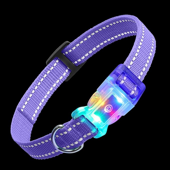 Rechargeable LED Dog Collar Suit for Small Large Dog, Dazzling Glow-in-The-Dark Light Collar, Prevent Traffic Accident Anti-Stampede Pet Supplies Glowing Collar (Purple)