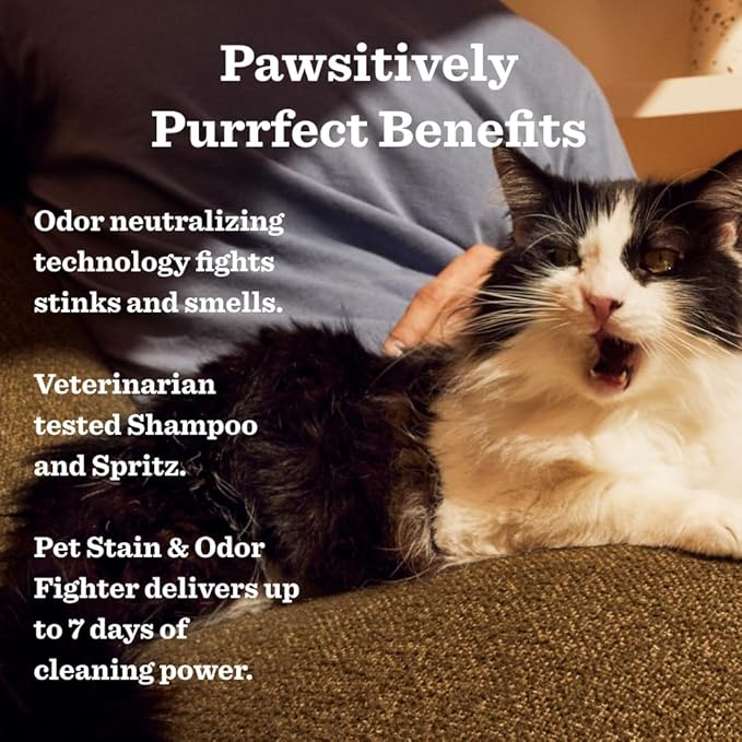 Mrs. MEYER'S Clean Day Cat Care Kit, includes Cat Deodorizing Spritz - White Peach and Pet Stain & Odor Fighter - Coconut Leaf