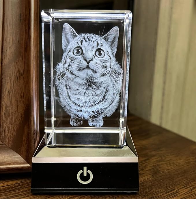 for pet Lovers, Personalized Dog, Cat Memorial Gifts for Pet Owners. Gift Box Included, Customized Laser Etched Crystal Photo (Large Portrait)