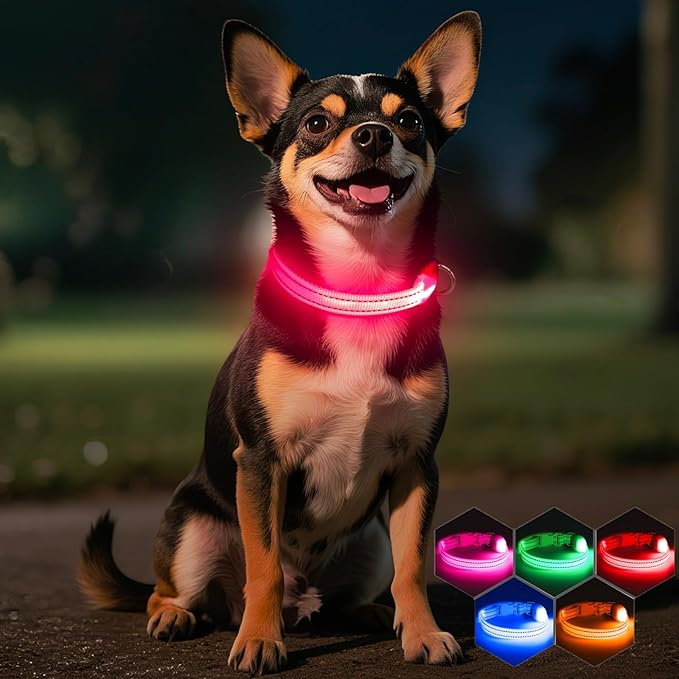 Light Up Dog Collar for Small Dogs - LED Dog Collar Rechargeable Adjustable Puppy Collars, Glow in The Dark Dog Lights for Night Walking & Camping (X-Small, Pink)