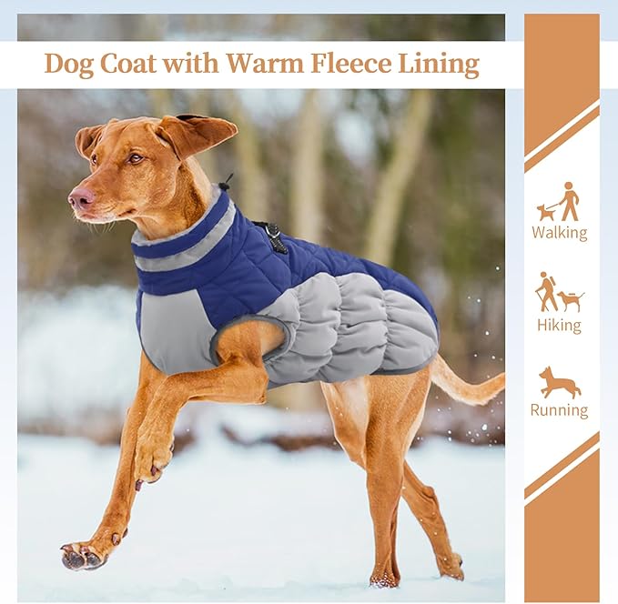 Small Dog Coat,Dog Jackets for Small Dogs,Warm Winter Jacket, Puppy Coat with Harness Built in,Waterproof Dogs Jacket,Puppy Cold Weather Coats,Pet Winter Clothes Snowsuit Shih Tzu Bichon,Blue