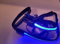 Generic LED Dog Collar and Leash Set, USB Rechargeable Color Changing, Glow in The Dark, Waterproof (Blue, Collar Large + Leash)