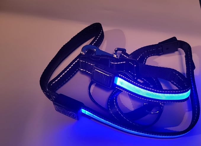 LED Dog Collar and Leash Light USB Rechargeable Color Changing, Glow in The Dark Dog Collars and Leash Waterproof (Blue, Collar Medium + Leash)