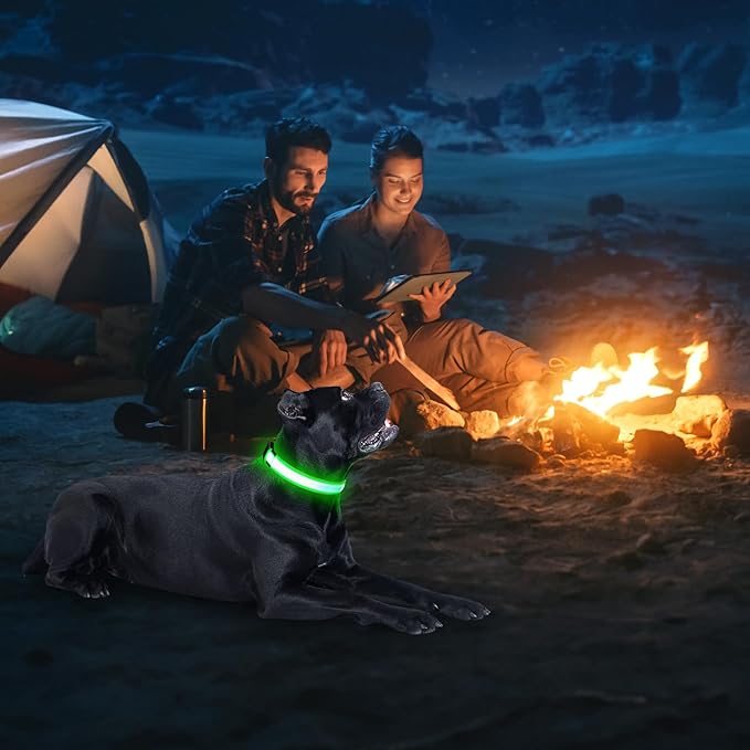 Illumifun LED Dog Collar, USB Rechargeable Light Up Dog Collars, Adjustable Glow Collars Safety Light for Small Medium Large Dogs (Green, Large)