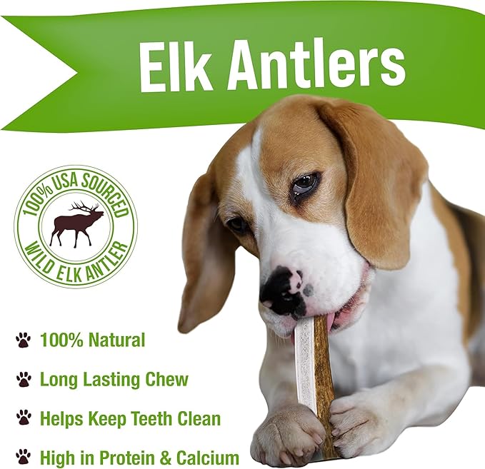 Buck Bone Organics Dog Chews, Antlers for Dogs, Premium Natural Elk, Long Lasting Dog Bones for Aggressive Chewers, No Preservatives, Wild Shed in The USA Medium