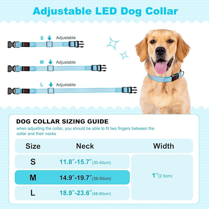 Illumifun Light Up Dog Collar for Night Walking, Rechargeable LED Dog Collar, Waterproof & Adjustable Lighted Collars Glow in The Dark (Blue, Medium)