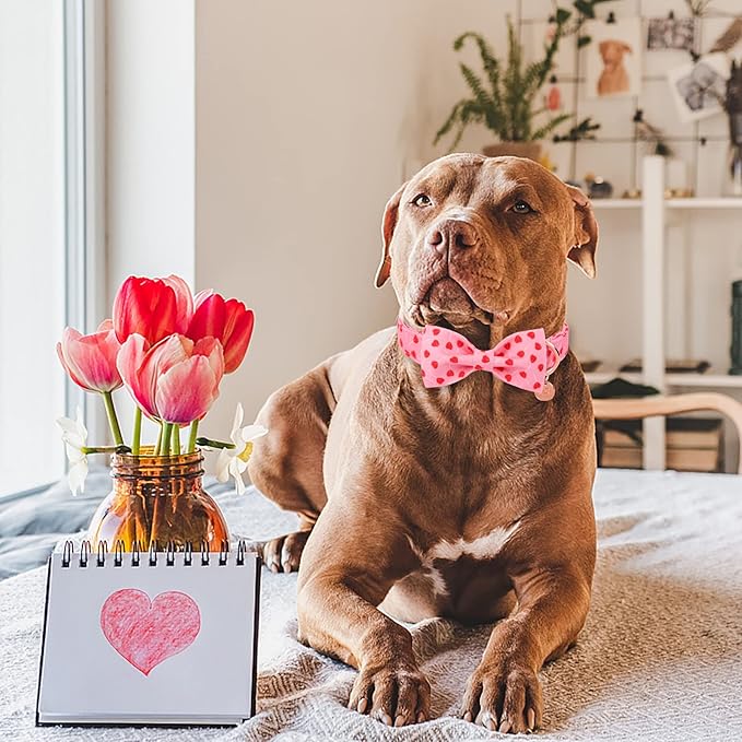 Valentine's Dog Collar With Bow Tie, Small Girl Dog Bowtie, Wedding Gift Pet Cotton Pink Collar With Metal Buckle, S