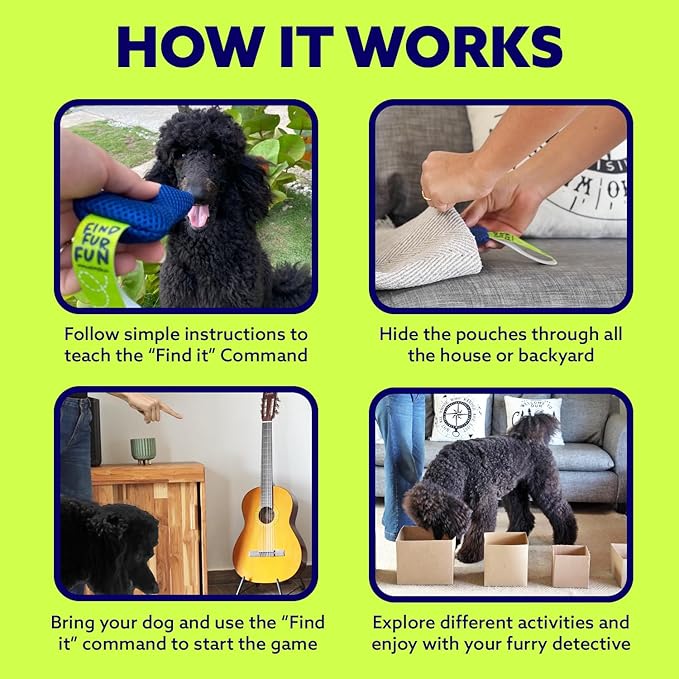 Dog Scent Training Kit – Nosework & Mental Stimulation Toy for Dogs, Interactive Hide & Seek Enrichment Game with Anise Scent Pouches
