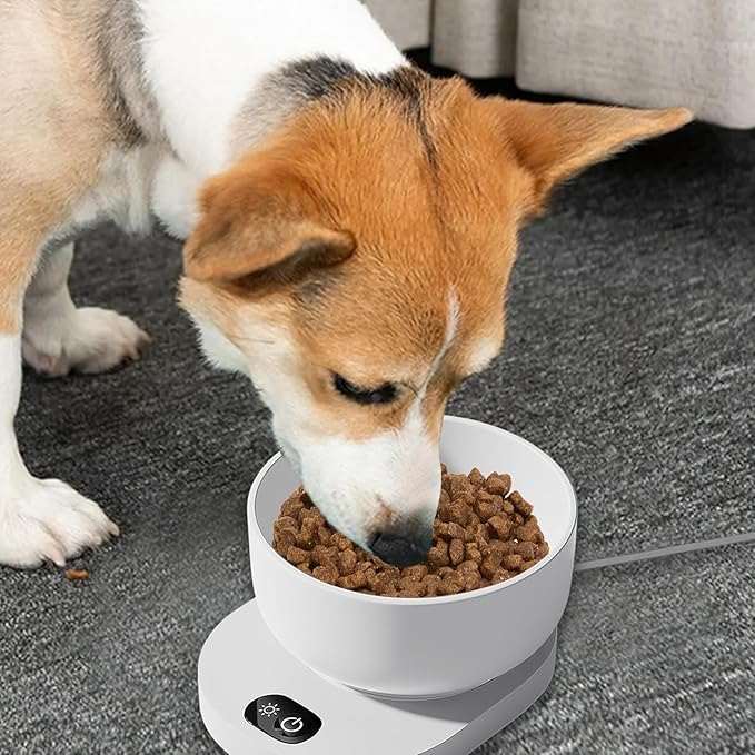 Heating Dog Bowl - Thermostatic Control Heated, Cat Ceramic Bowls, Winter Warm Pet Dish | Outside in Winters Cold Weather for Outside in Winter Cold Weather