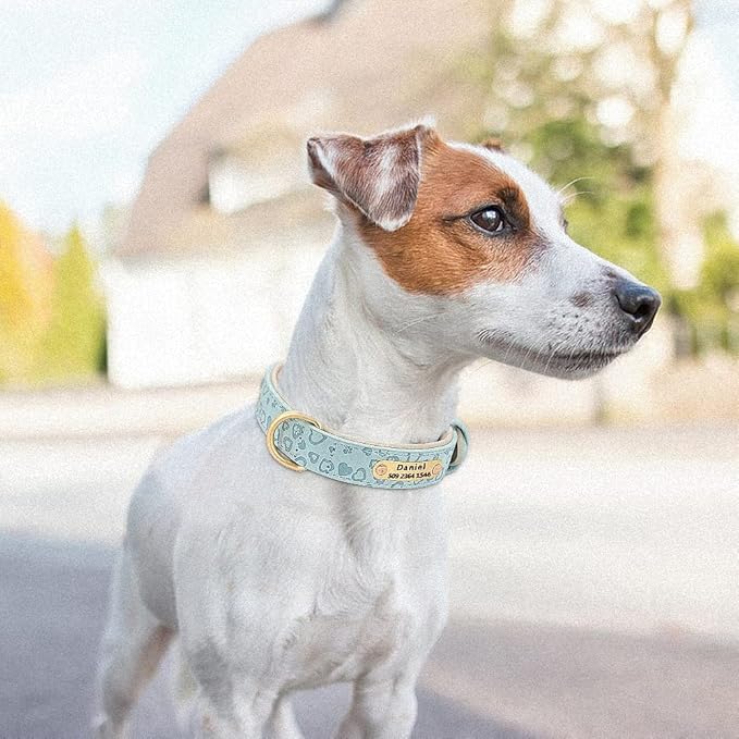 Personalized Dog Collar Soft Leather Custom Puppy Collar Printed Pitbull Collars Pets Products for Small Medium Large Dog Blue XL
